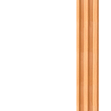 WallPanel de WPC CAJA (10PZ) 290x16cm - M2040